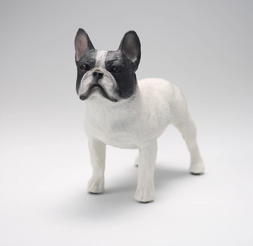 Ritratto modello bulldog - modello,
